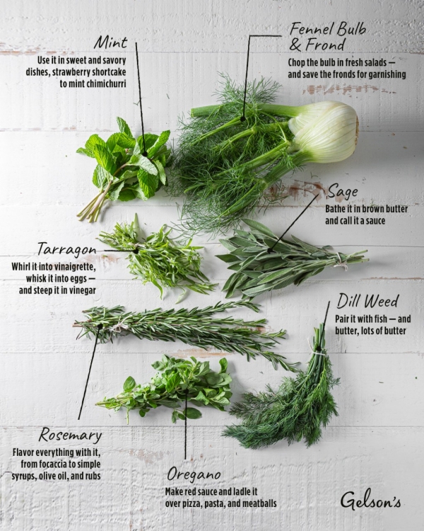 A Home Cook’s Guide to Herbs