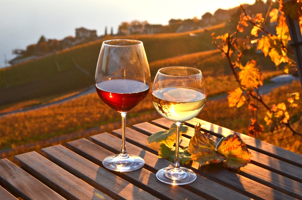 Wine with Vineyard background